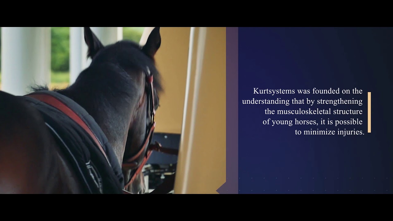Kurtsystems Short Film