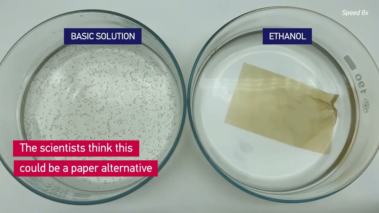 Recyclable pollen-based paper developed by NTU Singapore scientists