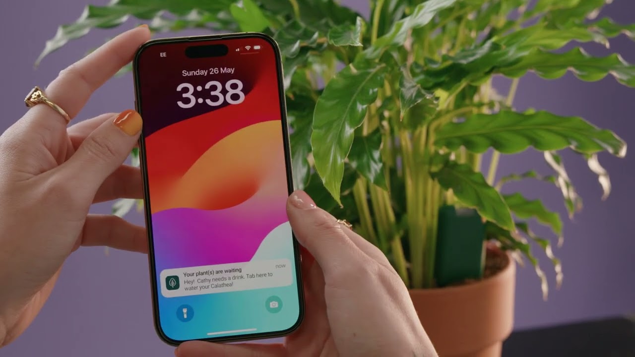 SmartyPlants campaign video