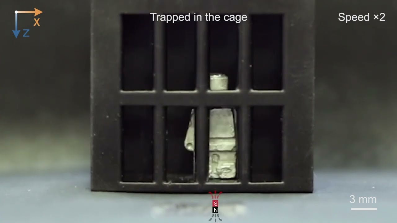 Magnetoactive Phase Transitional Matter Molded in Shape of Lego Figure Escapes from Cage