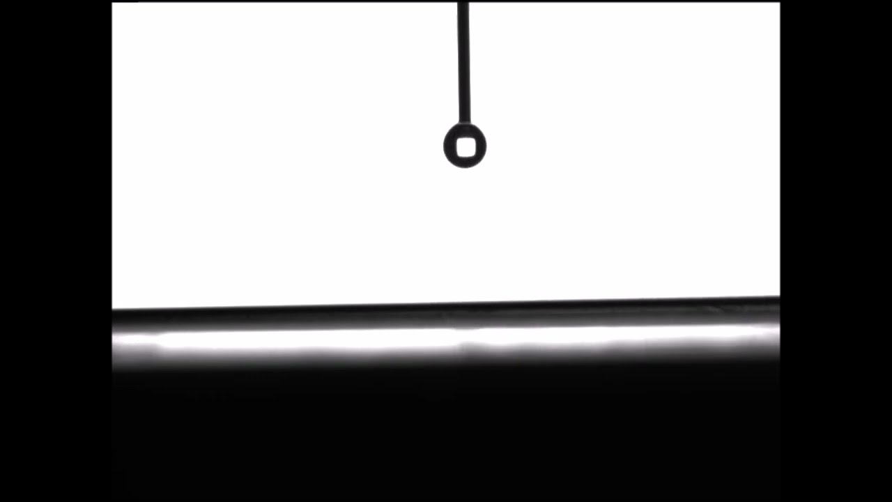 A superhydrophobic surface repels water droplets