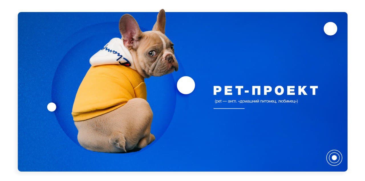 Pet проекты идеи