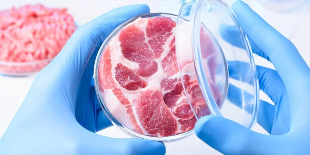 Биологи придумали, как улучшить вкус искусственного мяса