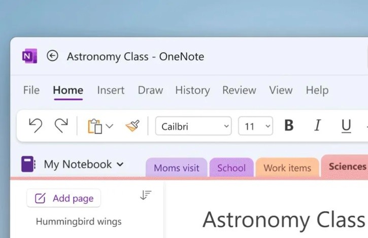 Microsoft обновит дизайн и функции OneNote для Windows 11