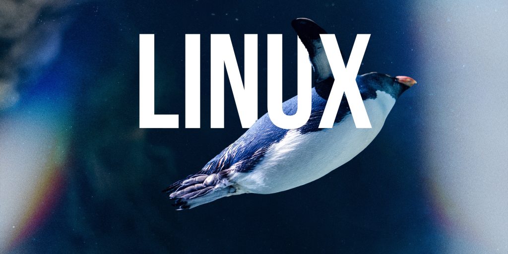 Linux - что это за дикий зверь?