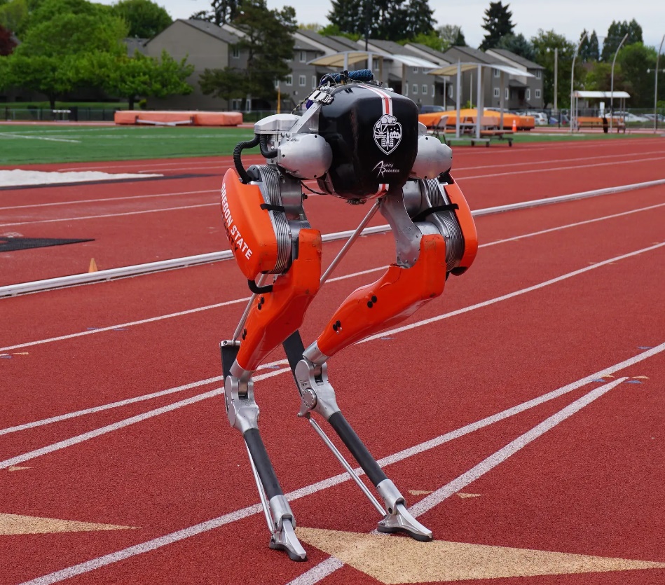 Двуногий робот Cassie установил рекорд в 100-метровом спринте