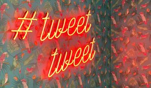Бесконечная история – Илон Маск снова готов купить Twitter Бесконечная история – Илон Маск снова готов купить Twitter