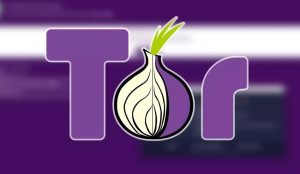 Модифицированная версия Tor Browser шпионит за пользователями Модифицированная версия Tor Browser шпионит за пользователями