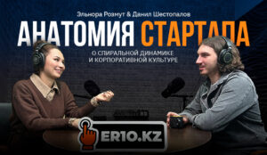 Анатомия стартапа. Спиральная динамика Грейвза и культурный код компании Анатомия стартапа. Спиральная динамика Грейвза и культурный код компании