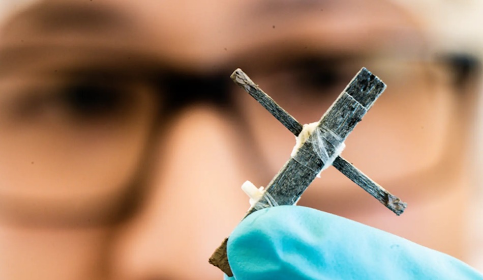 Шведские ученые создали первый в мире деревянный транзистор