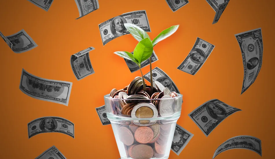 деньги на проект фото