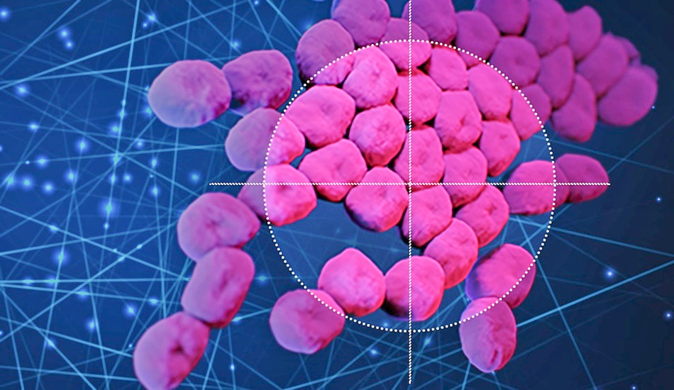 Ученые нашли новый мощный антибиотик с помощью ИИ