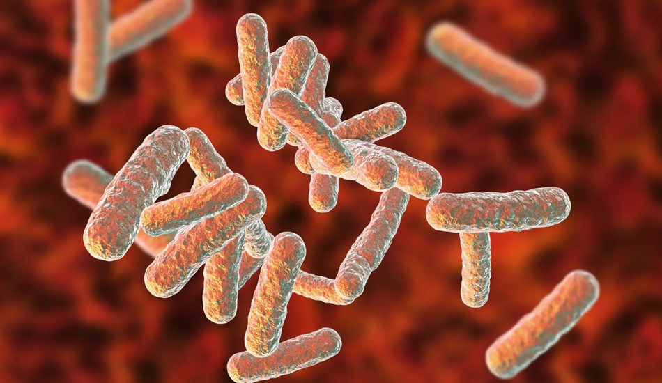 Новое семейство антибиотиков убивает супербактерии