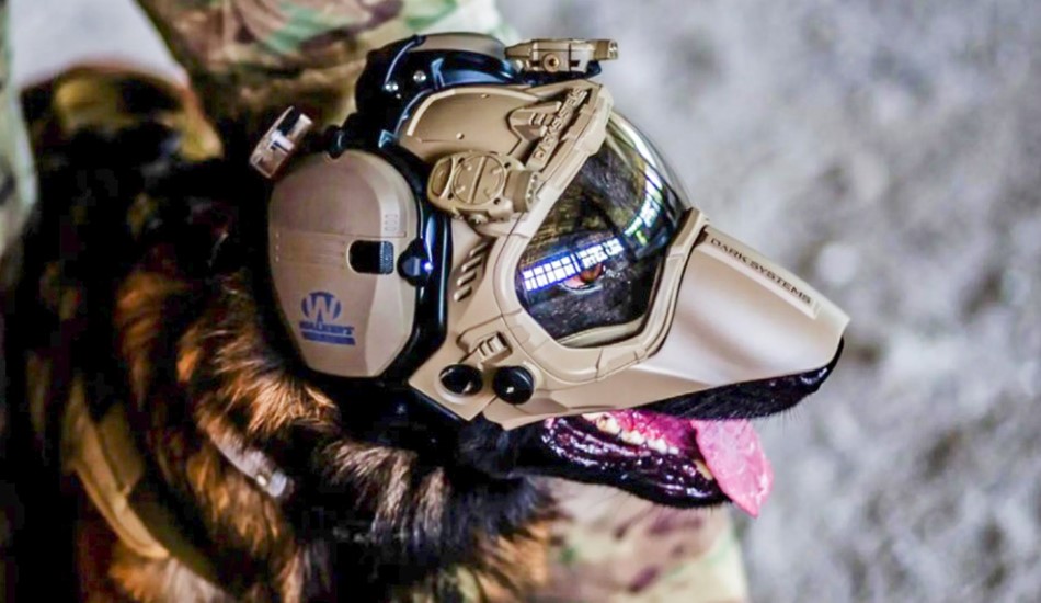 Разработан защитный шлем для служебных собак