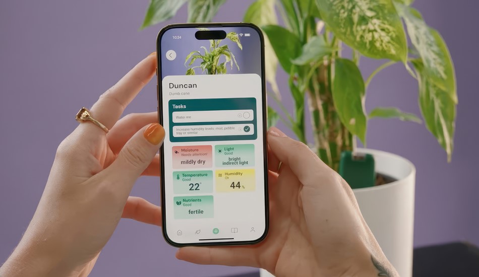 Гаджет SmartyPlants помогает заботиться о комнатных растениях