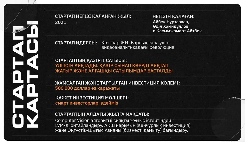 Карточка стартапа Bizdin AI