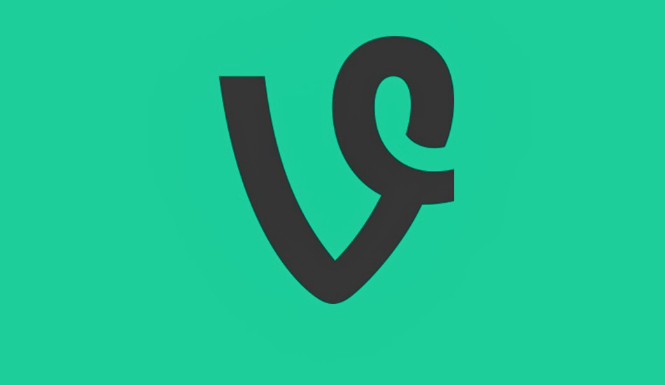 Vine