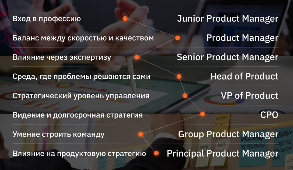Карьерная лестница продакт-менеджера – от джуна до CPO