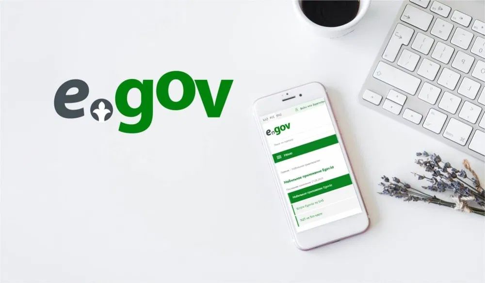 eGov Mobile
