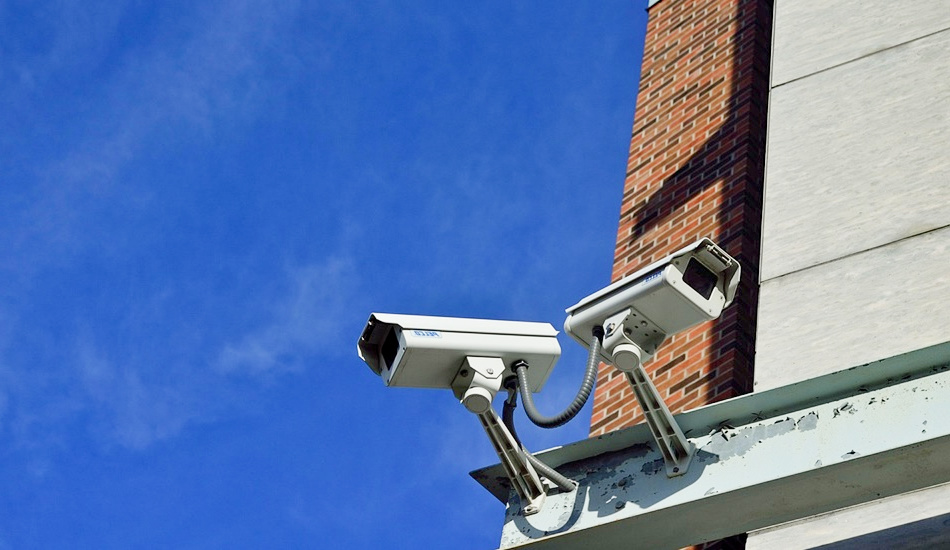 Fail Watching: почему поколение Z радуется чужим промахам Flock