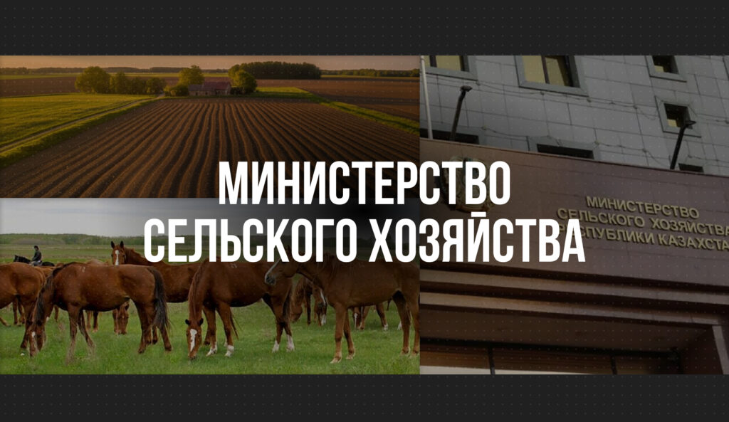 Казахстанские министерства рассказали, как внедряли ИИ в 2025 году