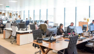 сотрудники ИИ