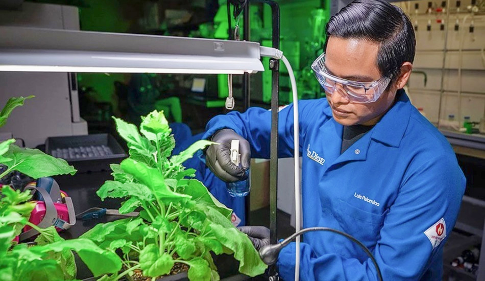 броня для растений