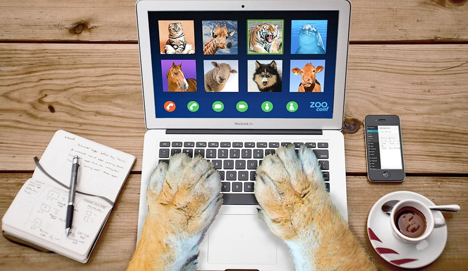 вайб-кодинг