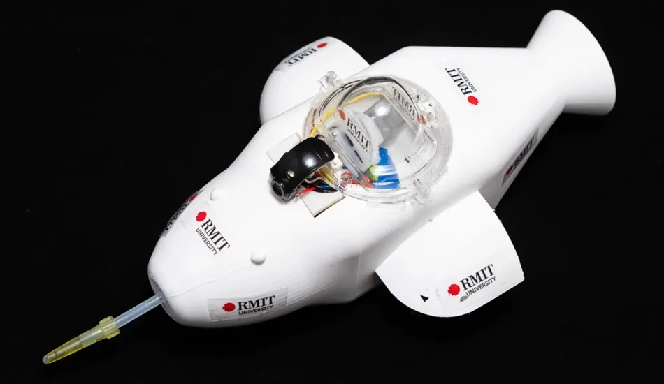 робот-дельфин