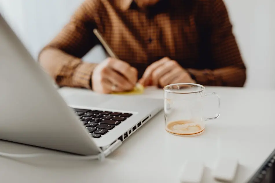 От Европы до США: перспективные вакансии, стажировки и программы