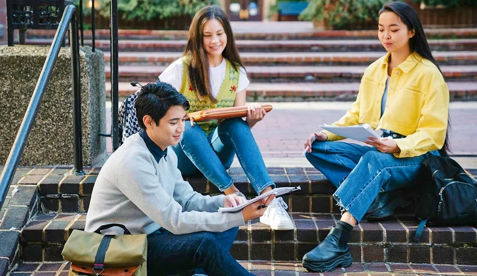 Международная стипендия