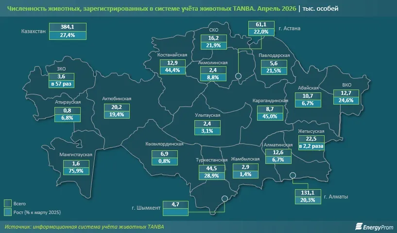 питомцы 2