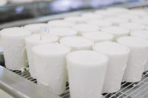 Что соглашение между ЕАЭС и Монголией значит для Казахстана?