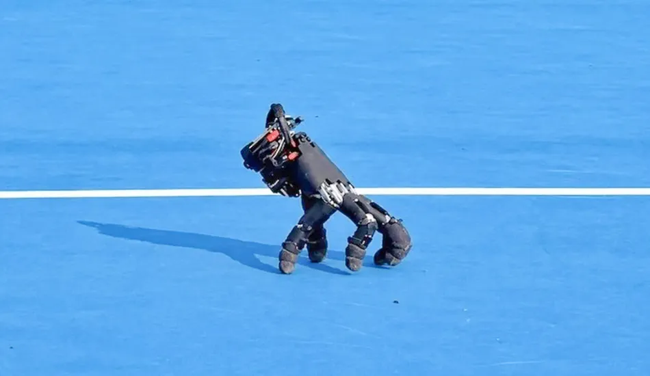 роборука
